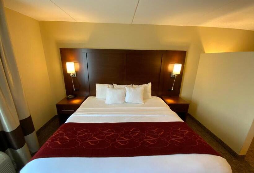 בית מלון כפרי Comfort Suites Fredericksburg North