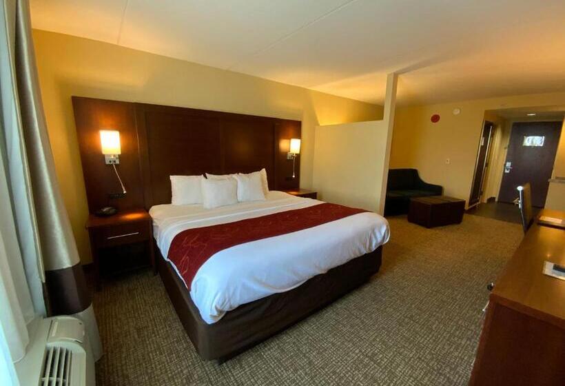 בית מלון כפרי Comfort Suites Fredericksburg North