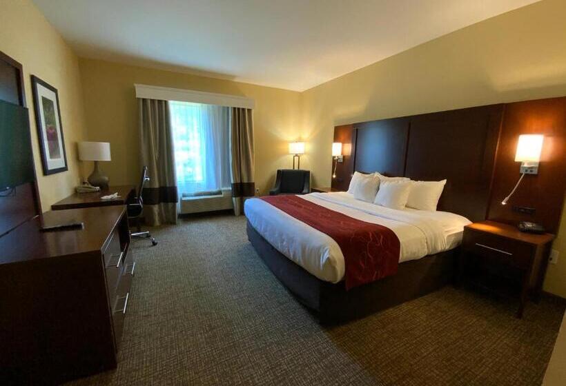 בית מלון כפרי Comfort Suites Fredericksburg North