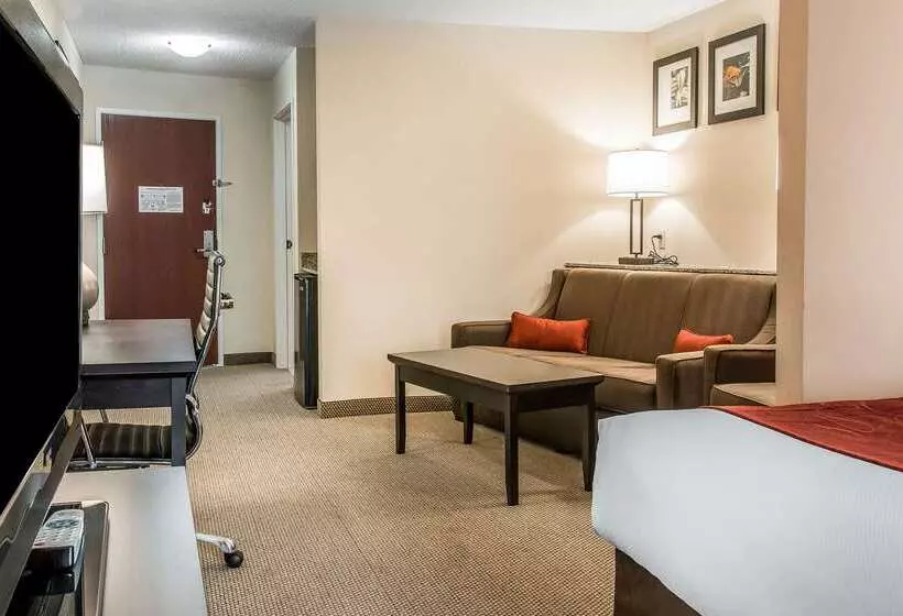 هتل Comfort Suites South Bend Near Casino