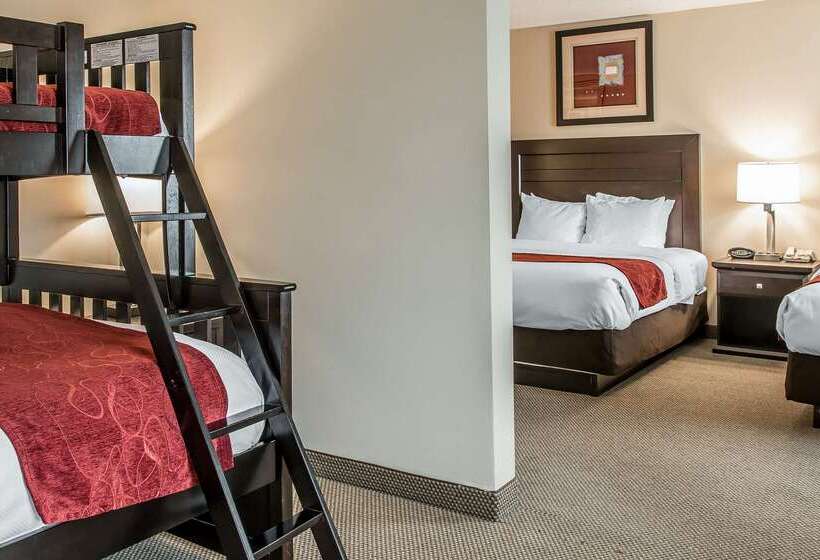 בית מלון כפרי Comfort Suites South Bend Near Casino