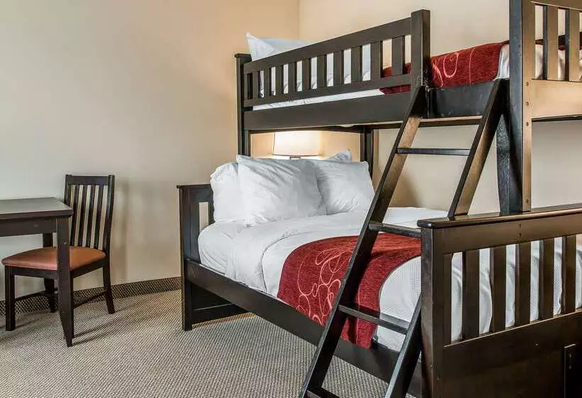 هتل Comfort Suites South Bend Near Casino