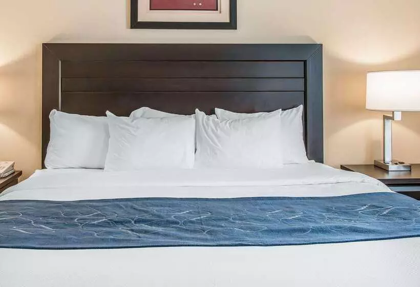 هتل Comfort Suites South Bend Near Casino