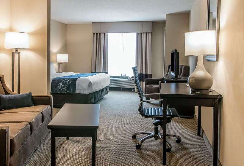 בית מלון כפרי Comfort Suites South Bend Near Casino