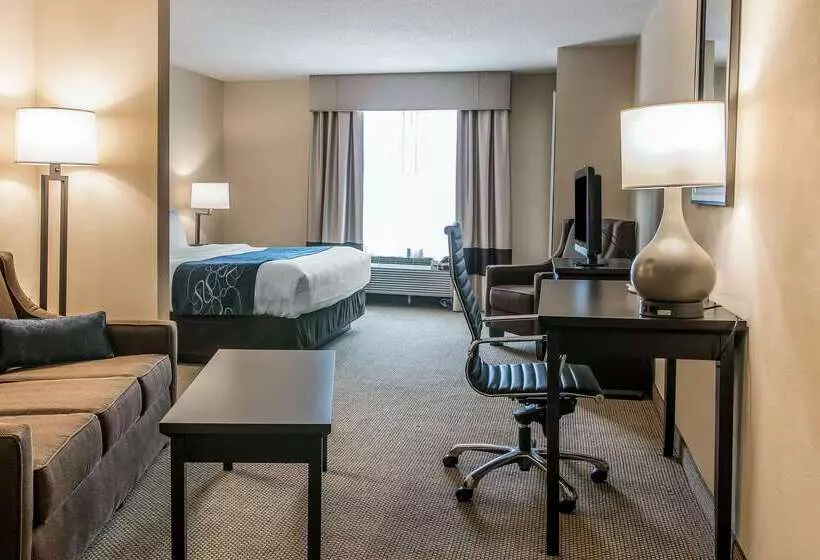 هتل Comfort Suites South Bend Near Casino