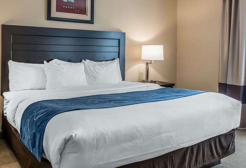 בית מלון כפרי Comfort Suites South Bend Near Casino