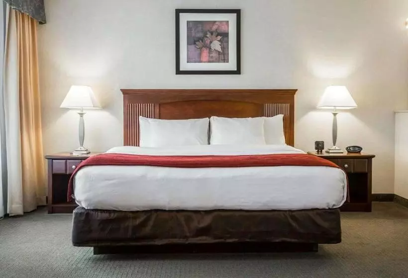 酒店 Comfort Suites South Burlington Near University