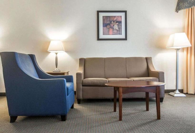 Отель Comfort Suites South Burlington Near University