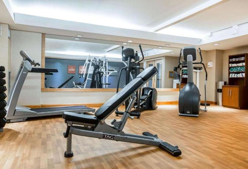 Отель Comfort Suites South Burlington Near University