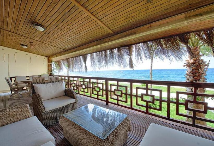 호텔 Flora Garden Beach Club   All Inclusive