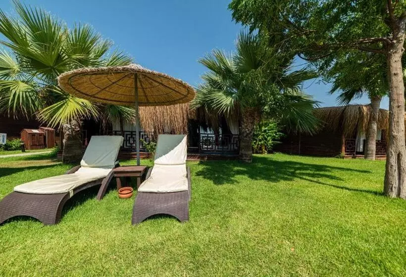 ホテル Flora Garden Beach Club All Inclusive