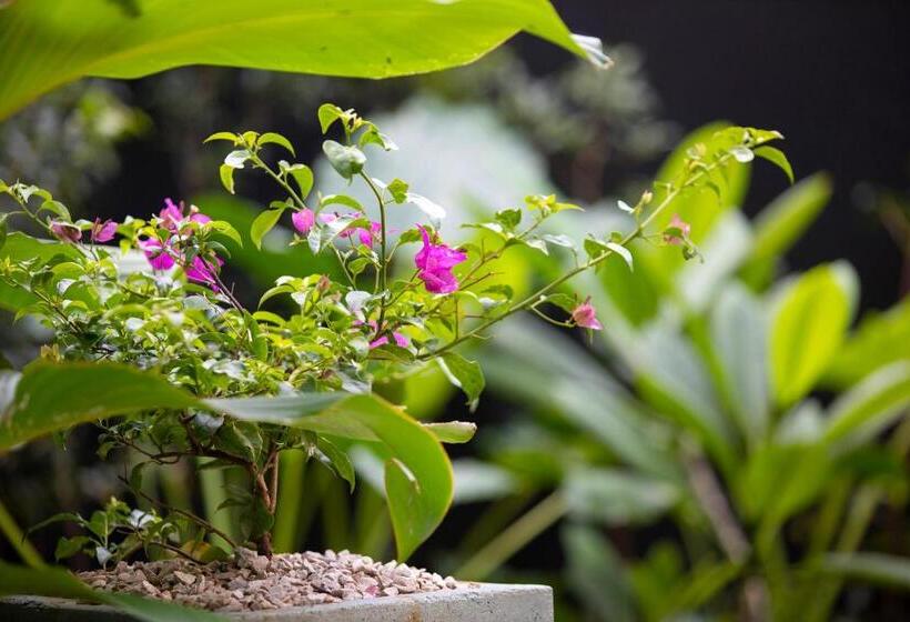 هتل Pumilio Mountain & Ocean