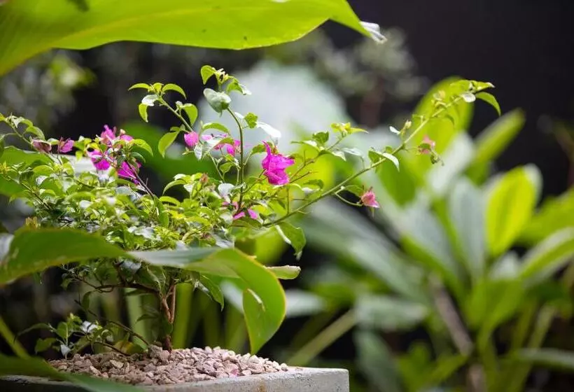 호텔 Pumilio Mountain & Ocean