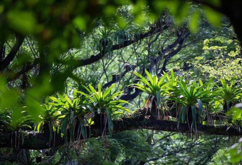 هتل Pumilio Mountain & Ocean