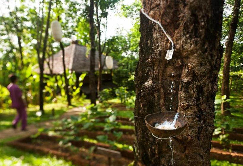 Otel Six Senses Yao Noi