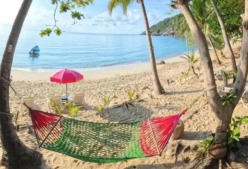 渡假胜地 The Hideaway Pariya Haad Yuan Ko Pha Ngan