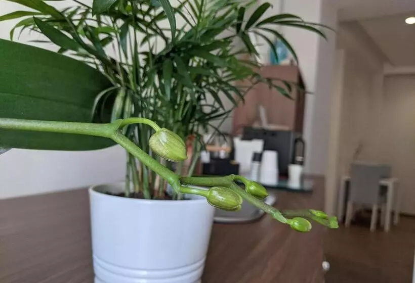 تختخواب و صبحانه Gia Notte Bb Salerno Centro By Elodeagroup