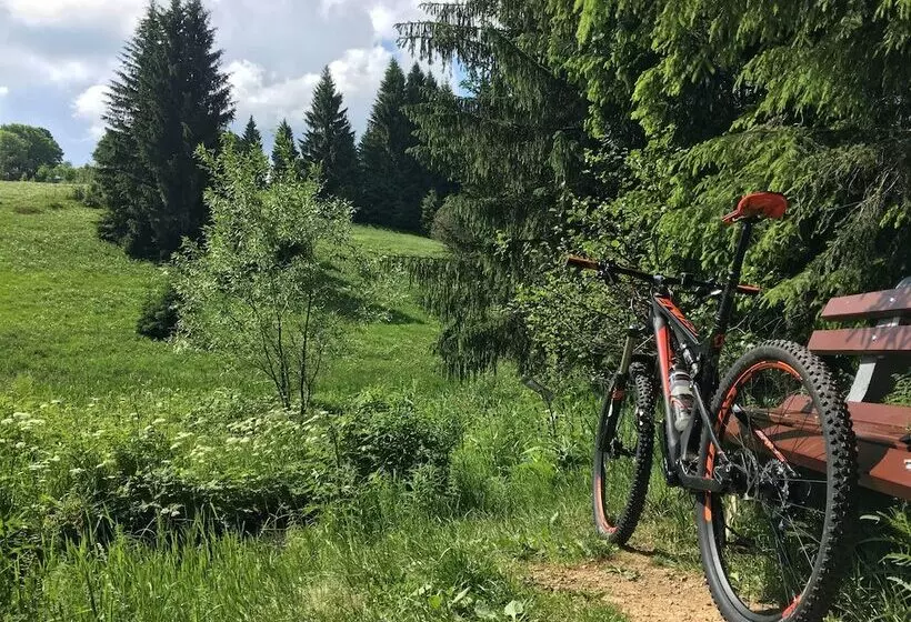 Ferienhaus Bikehütte Rehnhäusl