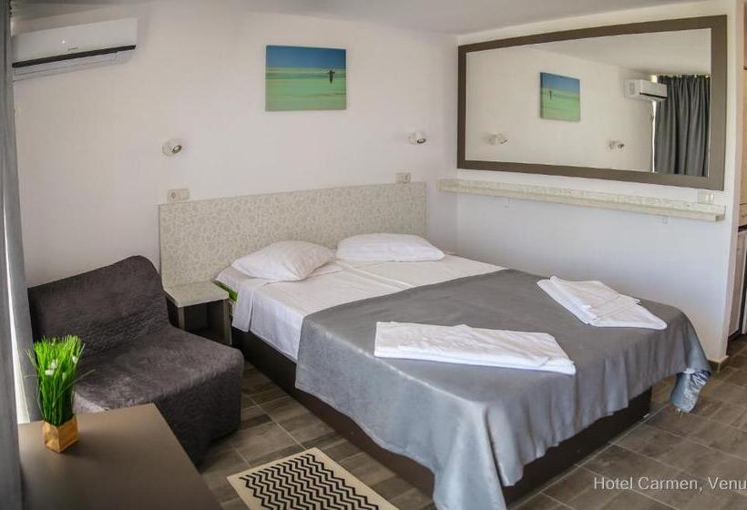 Отель Carmen