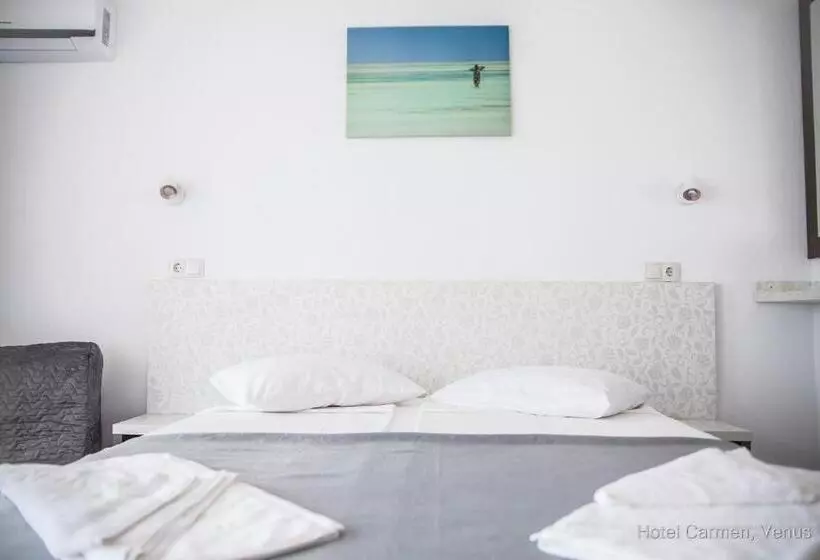 Hotel Carmen