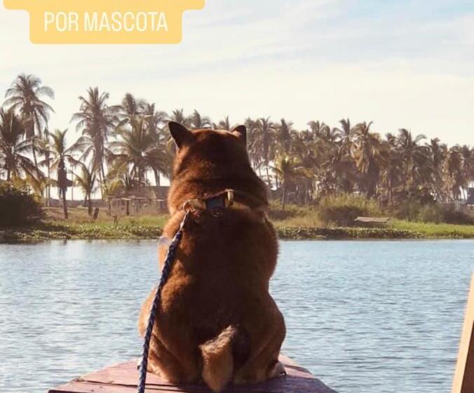 فندق Boutique Punta Jamaica