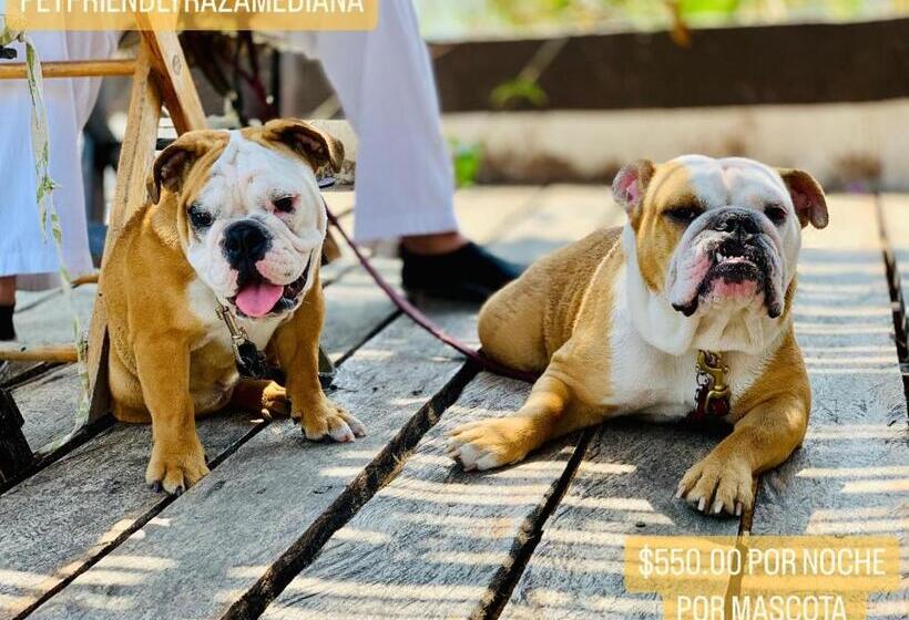 فندق Boutique Punta Jamaica