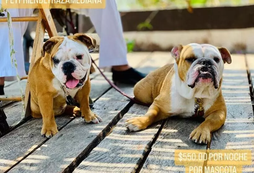 ホテル Boutique Punta Jamaica