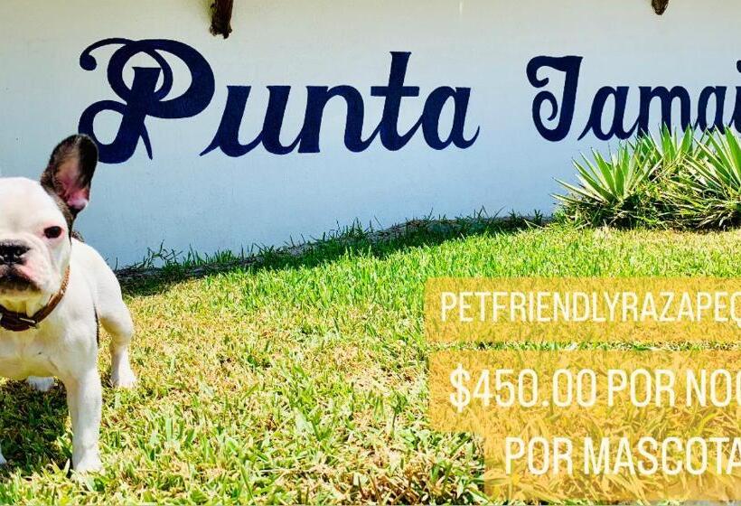 فندق Boutique Punta Jamaica