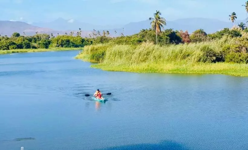 ホテル Boutique Punta Jamaica