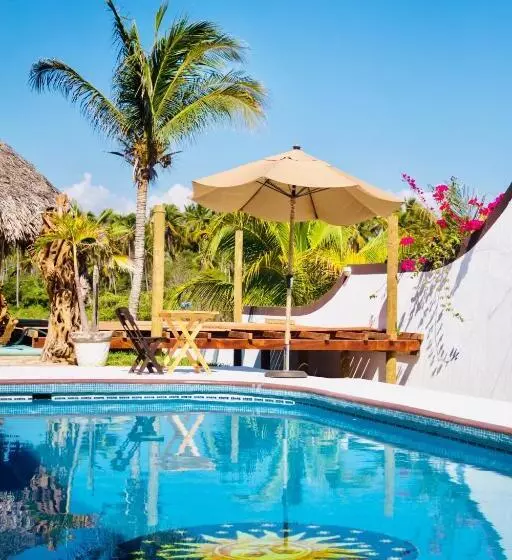 ホテル Boutique Punta Jamaica