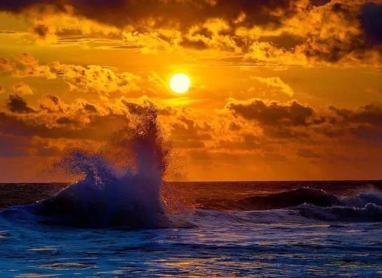 ホテル Boutique Punta Jamaica