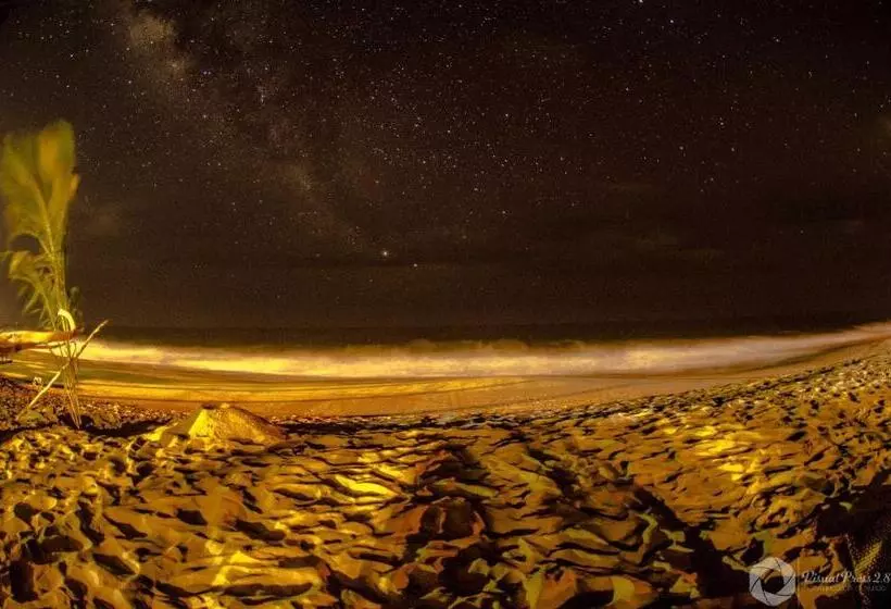 ホテル Boutique Punta Jamaica