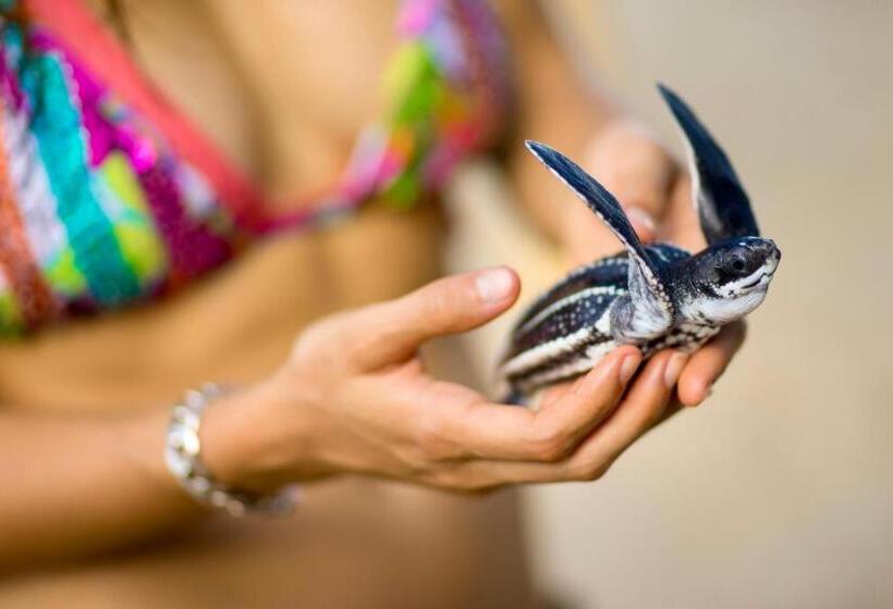 فندق Boutique Punta Jamaica