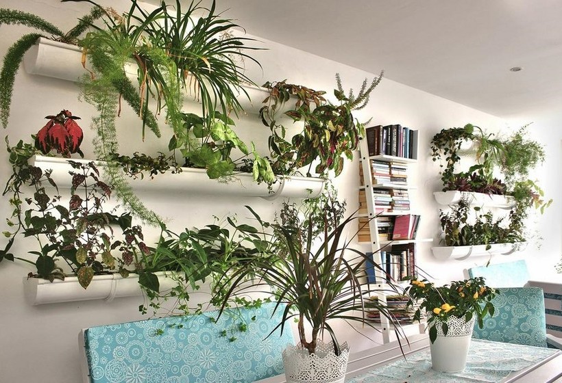 Apartamentos Gelimar