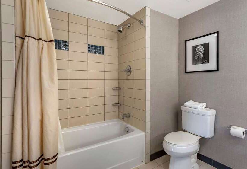 Cambria Hotel Columbus   Polaris