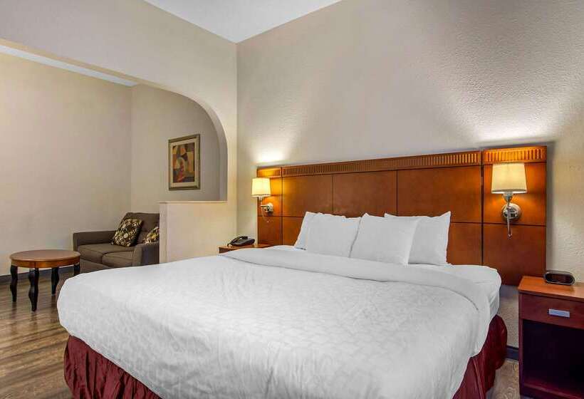 בית מלון כפרי Clarion Suites Duluth I 85