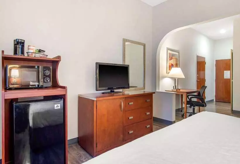 酒店 Clarion Suites Duluth I 85