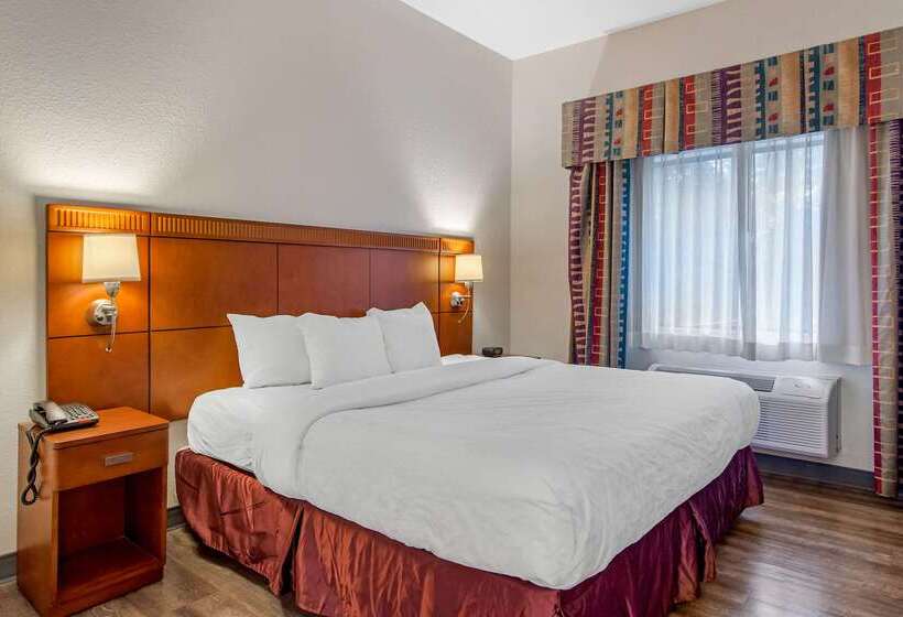 בית מלון כפרי Clarion Suites Duluth I 85