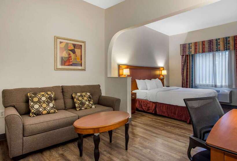 בית מלון כפרי Clarion Suites Duluth I 85