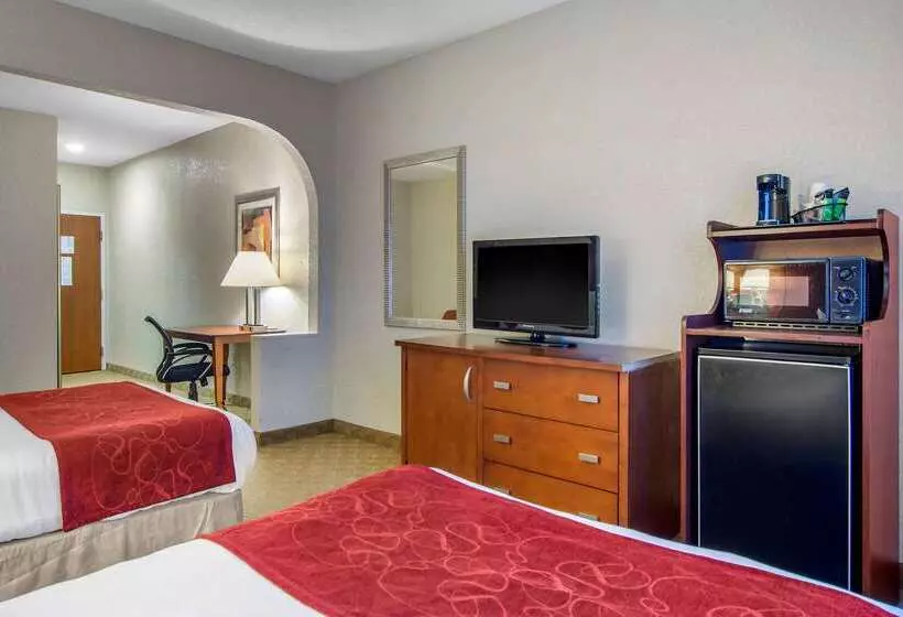 酒店 Clarion Suites Duluth I 85