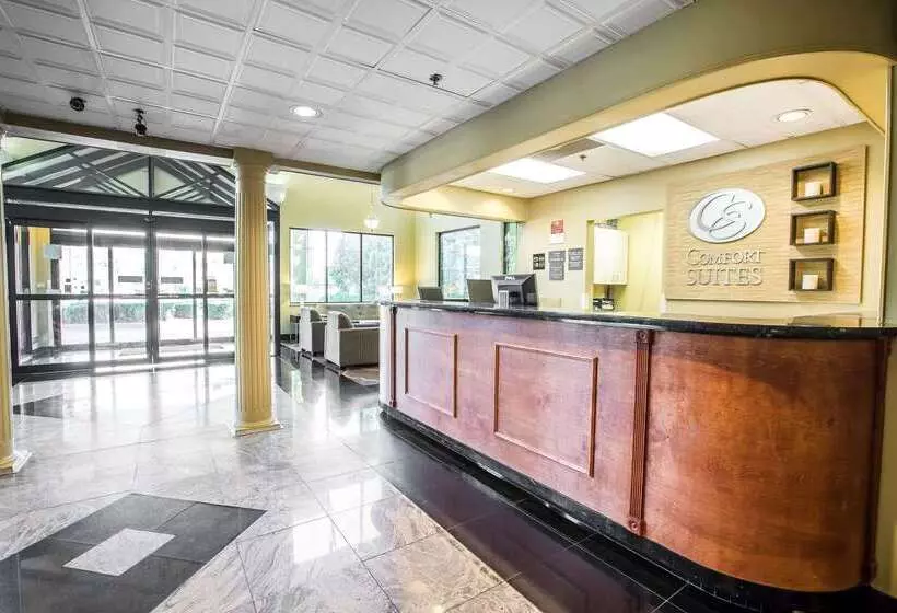 酒店 Clarion Suites Duluth I 85