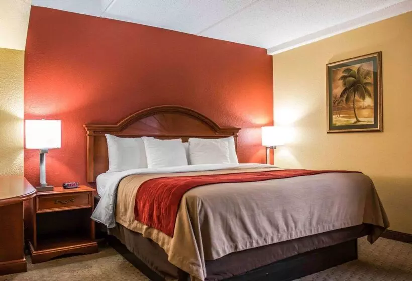 هتل Comfort Inn & Suites Panama City   St Andrew