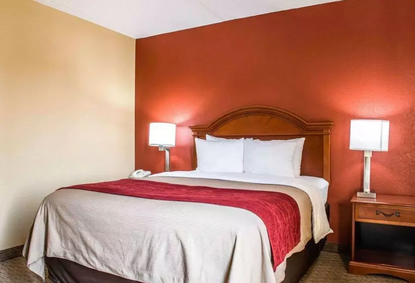 هتل Comfort Inn & Suites Panama City   St Andrew