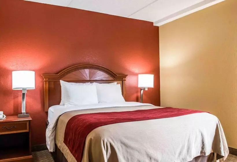 هتل Comfort Inn & Suites Panama City   St Andrew