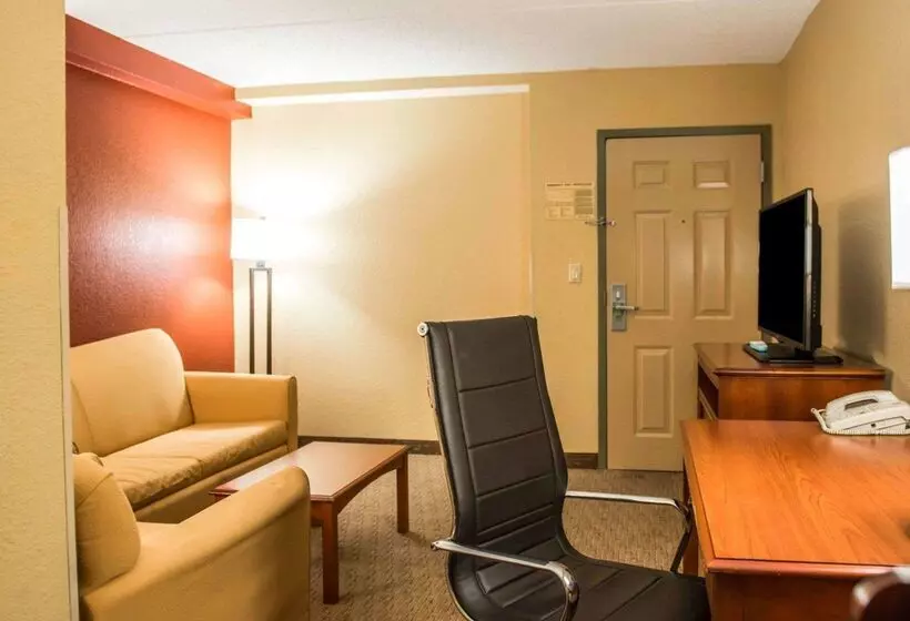 هتل Comfort Inn & Suites Panama City   St Andrew