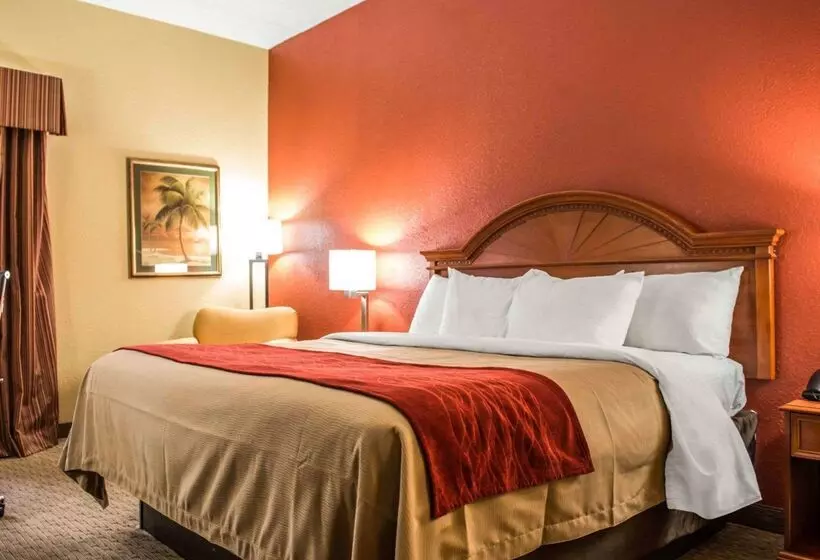 هتل Comfort Inn & Suites Panama City   St Andrew