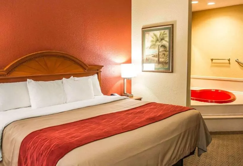 هتل Comfort Inn & Suites Panama City   St Andrew