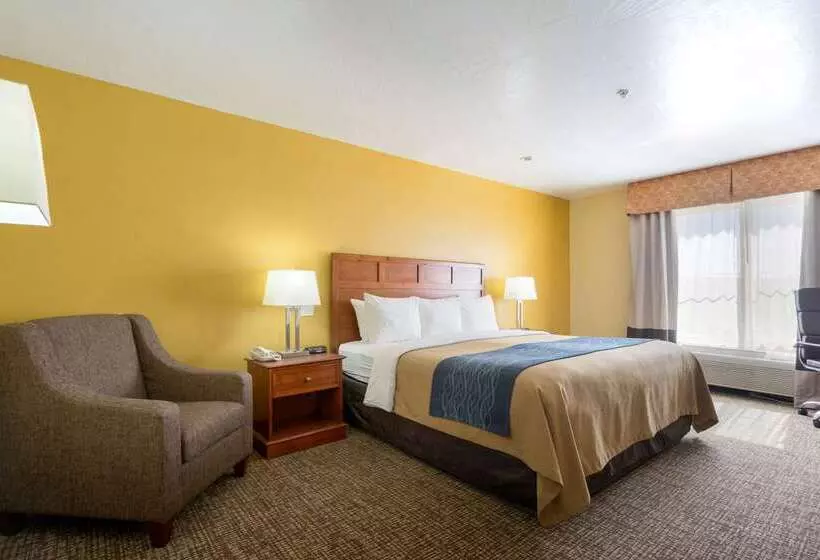 בית מלון כפרי Comfort Inn & Suites