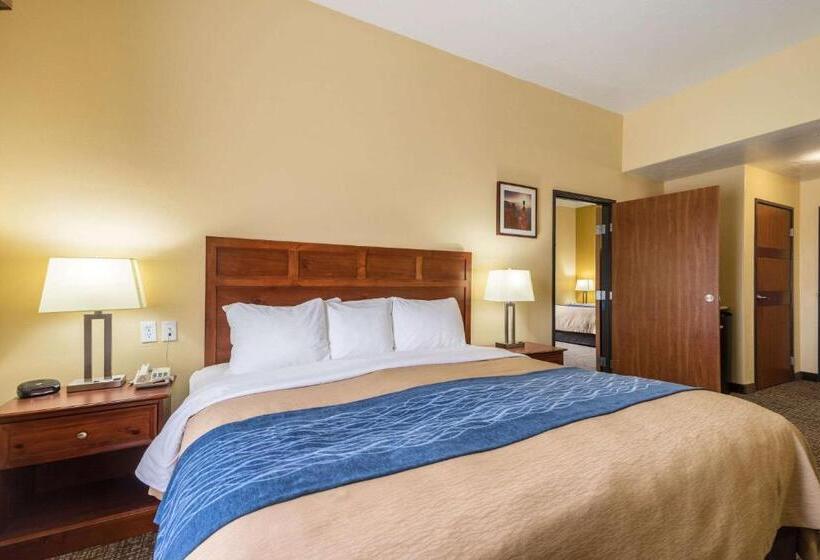 בית מלון כפרי Comfort Inn & Suites