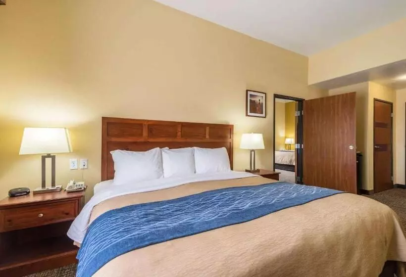 בית מלון כפרי Comfort Inn & Suites